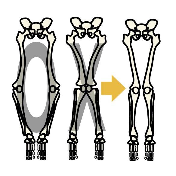 �G�̒ɂ݁A������A���́A����